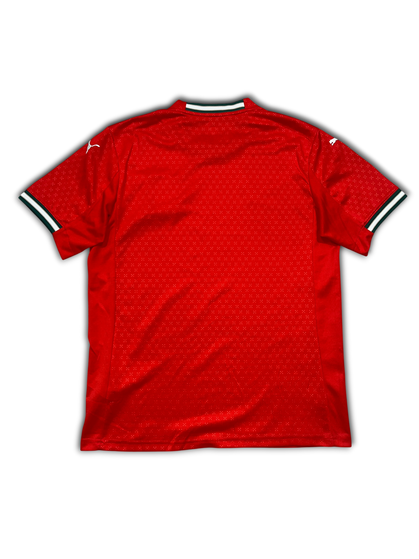 Puma Portugal 2025/26 Home Jersey (M)