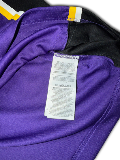 Nike Jordan Lakers #23 LeBron James Basketball Jersey (L)